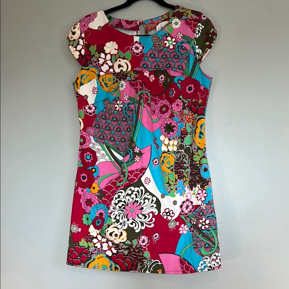 EUC Lipsy multicolor  dress size large
